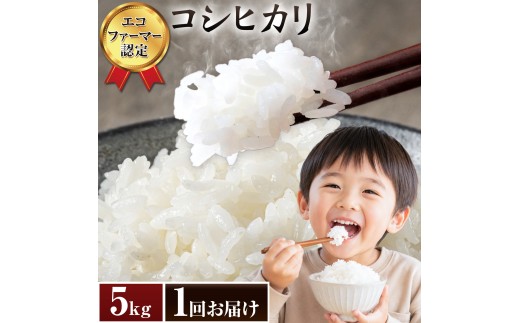 米 令和7年産 コシヒカリ 白米 5kg 農事組合法人新宿営農組合 《60日以内に出荷予定(土日祝除く)》 米 こめ コメ ごはん ご飯 お米 おこめ 精米 白米 エコファーマー認定 千葉県 東庄町