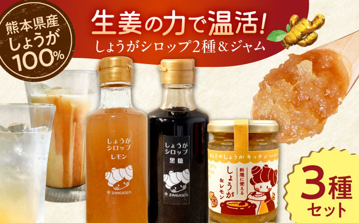 
            しょうが＆レモン ジャム　生姜 シロップ 2種 レモン・黒糖 セット【ジンジベル】合志市 熊本県 生姜 レモン シロップ 調味料 しょうが ジンジャー 果物 くだもの 黒糖 飲料 炭酸 炭酸水 ジュース ドリンク 飲み物 ギフト プレゼント さっぱり飲料 スパイス ジャム じゃむ 瓶 甘さ控えめ かわいい 贈答 果物ジャム フルーツ [AYAD010]
          