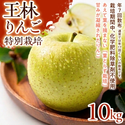
                  ＜芳醇な香りとやさしい甘み＞王林(おうりん) 10kg 1セット【1779832】
                