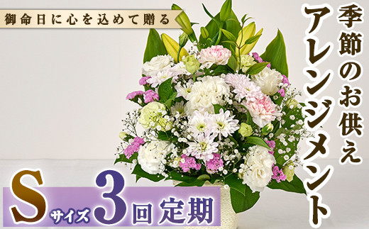 
＜定期便・3回(連続)＞季節のお供え用アレンジメント(生花：Sサイズ)生花 お花 花束 フラワー 植物 お供え 供花 仏花 命日 仏事 法事 贈り物【FM-20】【フラワーショップまつだ】
