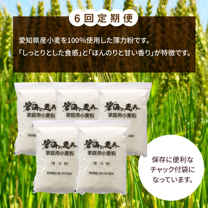 【小麦粉】碧海の恵み 薄力粉 国産 愛知県産 800g×5袋(計4kg) 定期便6回　H008-246