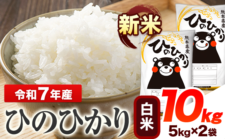 令和7年産 ひのひかり 新米 白米 10kg 《7-14日以内に出荷予定(土日祝除く)予定》 熊本県産 白米 精米 ひの 送料無料 熊本県 山江村---ym_hn6_l911_7n_24500_10kg_h---