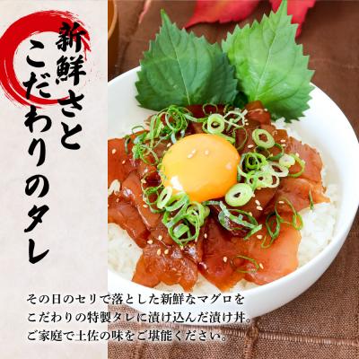 ふるさと納税 田野町 これが魚屋の漬け丼だ! 〜マグロ〜 80g×5P ★訳あり★ |  | 01
