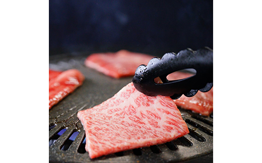 飛騨牛ロースまたは肩ロース600g (焼肉・BBQ用)【配送不可地域：離島】【1042664】