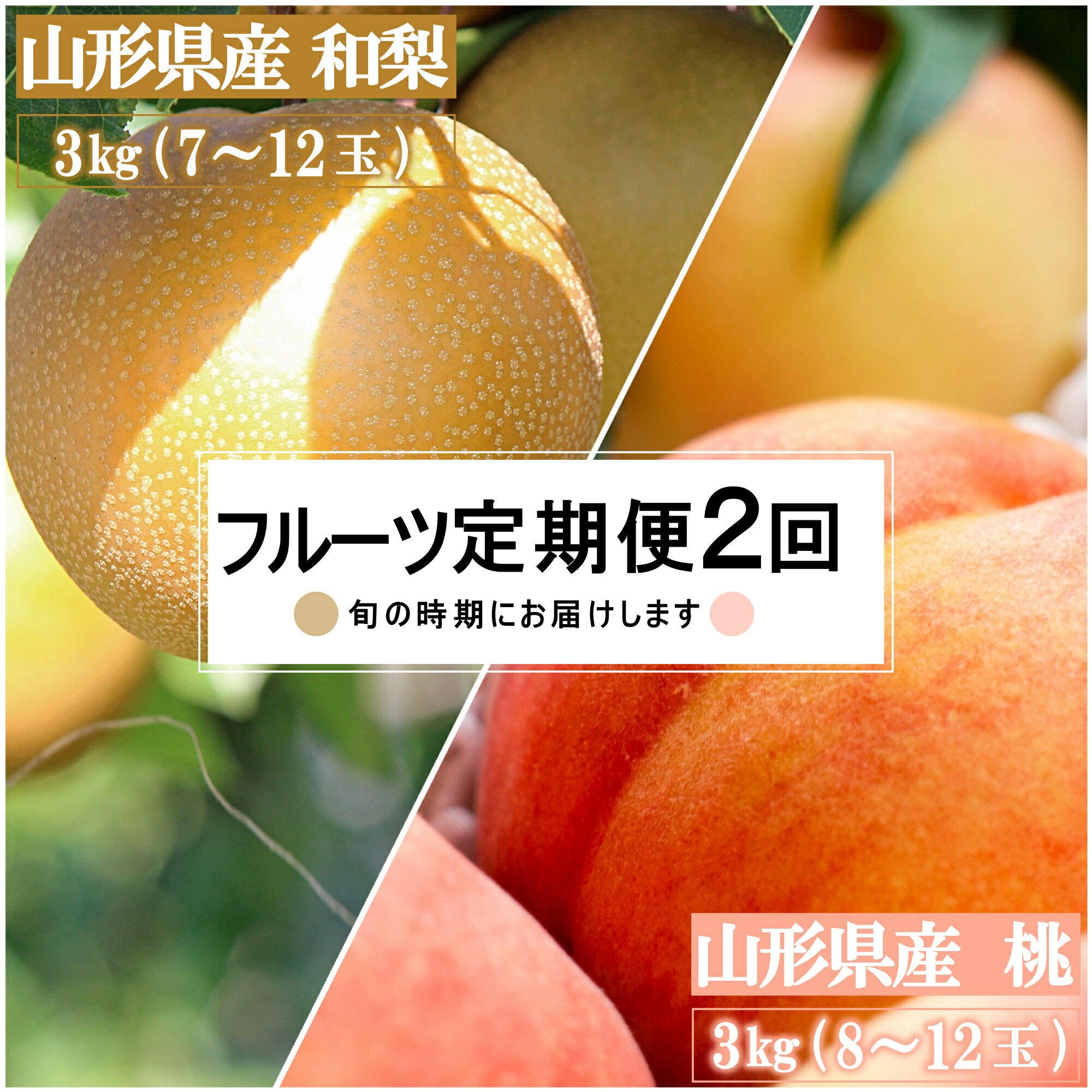 【ふるさと納税】【2025年8月～9月発送】【定期便2回】山形旬の果物2選（桃/和梨）_H234(R7)