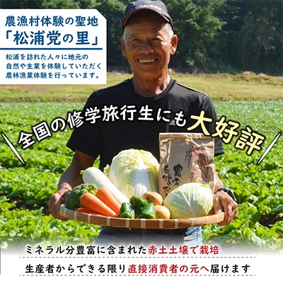 農漁村体験の聖地「松浦党の里」旬の野菜とお米(3kg)セット【配送不可地域：離島】【1259025】