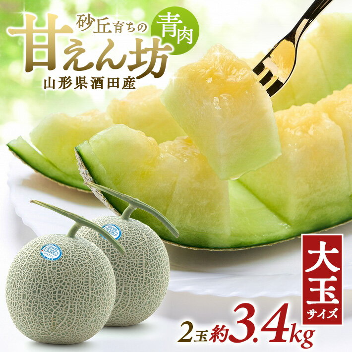 【ふるさと納税】大玉 青肉メロン 砂丘育ちの甘えん坊 つる付き 2玉 計3.4kg 山形県酒田産 6月下旬〜7月中旬頃にお届け ※着日指定不可 東北 山形県 酒田市 庄内地方 庄内平野 砂丘メロン フルーツ くだもの JA 農協 産地直送 夏 旬