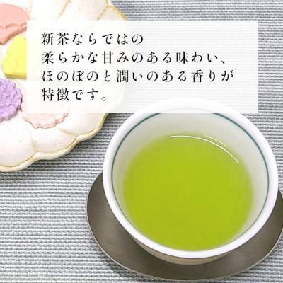 ふるさと納税 東白川村 【2025年産新茶】初摘み新茶 50g 煎茶 東白川村産 美濃白川茶 茶葉 |  | 02
