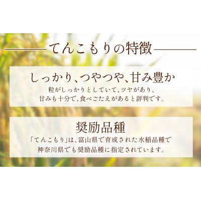 ふるさと納税 伊勢原市 【発送月固定定期便】11月下旬から出荷予定　合計15kg 精米 てんこもり5kg全3回 |  | 01