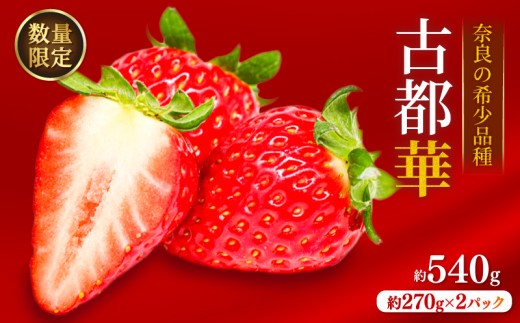 いちご ことか 約540g 約270g×2パック 古都華 先行予約 【2027年2月発送】 数量限定  選べる容量 産地直送 希少品種 旬 冷蔵 イチゴ 苺  itigo ichigo strawberry ストロベリー いちご 大粒 お取り寄せ 国産 フルーツ 果物 スイーツ 小分け ブランドいちご ふるさと納税いちご 甘い 完熟 おすすめ 贈答 プレゼント 奈良県 奈良市 のぼるちゃんファーム