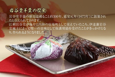 菊泉堂の岩谷堂絞り羊羹 20個入 [V0003]