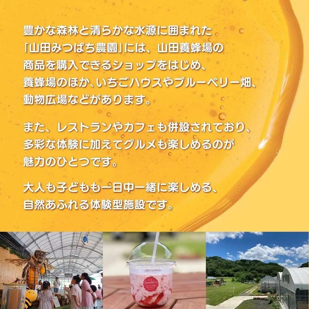 ［山田みつばち農園］体験割引チケット（2000円分）049-a001