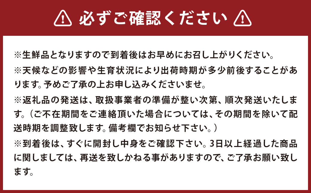 温州みかん 約5kg 2S～2L みかん 果物 くだもの 旬 益城町産【2024年12月上旬まで発送予定】