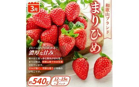 【フルーツ定期便・全4回】品質に自信あり！くしがきの里から直送　桃・シャインマスカット・はれひめ・まりひめを季節ごとにお届け♪ / 定期便 桃 もも みかん 柑橘 シャインマスカット マスカット いち