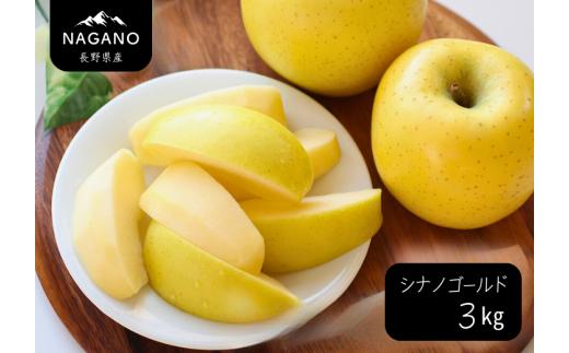 MS11 りんご シナノゴールド（長野県産秀品） 約3kg / 2026年10月下旬～11月下旬頃 配送予定 // 長野県 南信州 リンゴ 林檎 贈答 黄色りんご シナノゴールド