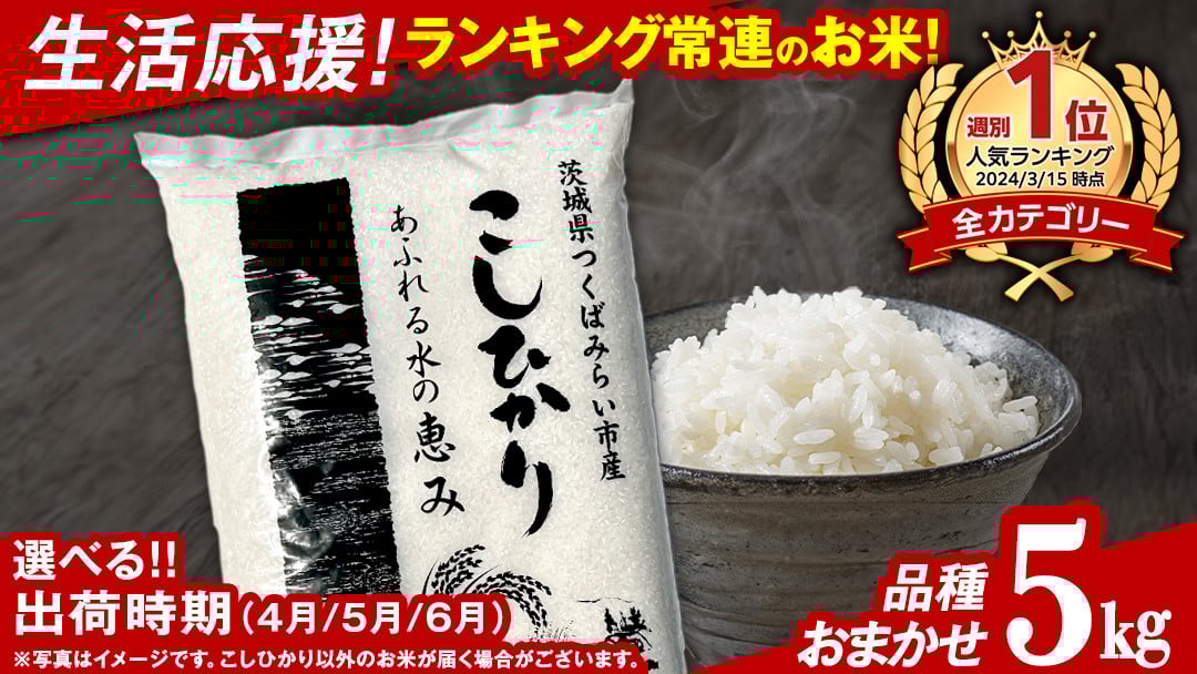 【 受付再開 】《 令和5年産 》茨城県産 コシヒカリ 精米 20kg ( 5kg ×4袋 ）【 各月 数量限定 】 こしひかり 米 コメ こめ 茨城県産 国産 美味しい お米 おこめ おコメ