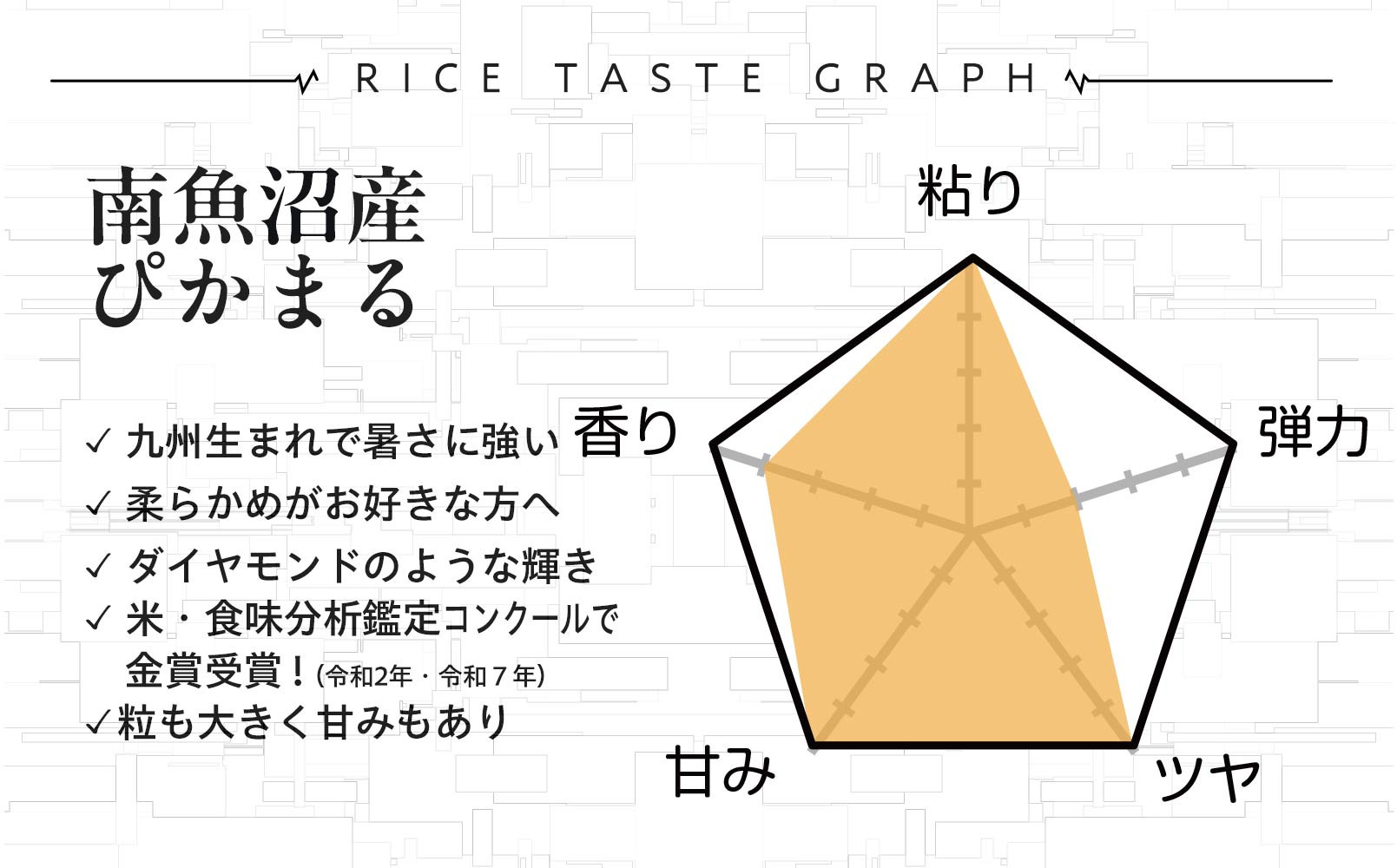 定期便【令和8年産新米予約】精米5kg×6回 南魚沼産ぴかまる 金賞受賞（米・食味分析鑑定コンクール）【令和8年11月上旬から1ヶ月以内に順次発送予定】＜6ヶ月定期便＞農家直送_AG