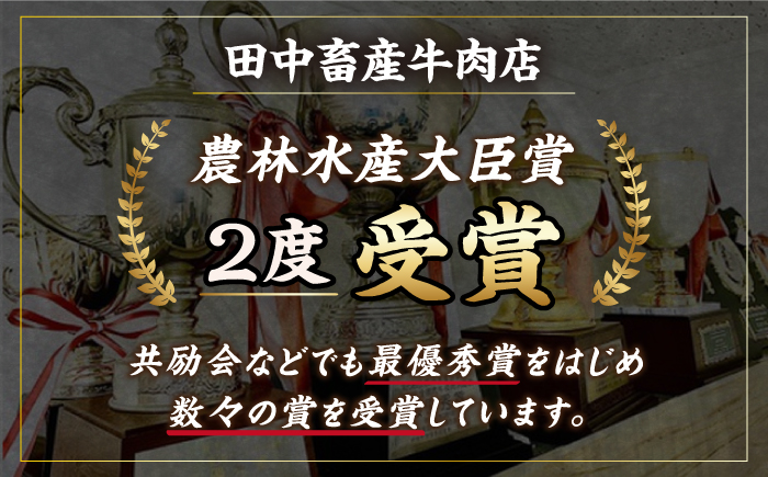 【2度の農林水産大臣賞】＜2ヵ月に1回お届け＞【全6回定期便】佐賀牛 贅沢コース【田中畜産牛肉店】 [HBH136]