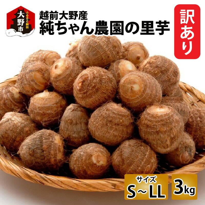 【ふるさと納税】【先行予約】【訳あり】越前大野産 「純ちゃん農園の里芋3kg」サイズS～LL寸【10月下旬より順次発送】 [A-074005]|和食 根菜 煮物 送料無料