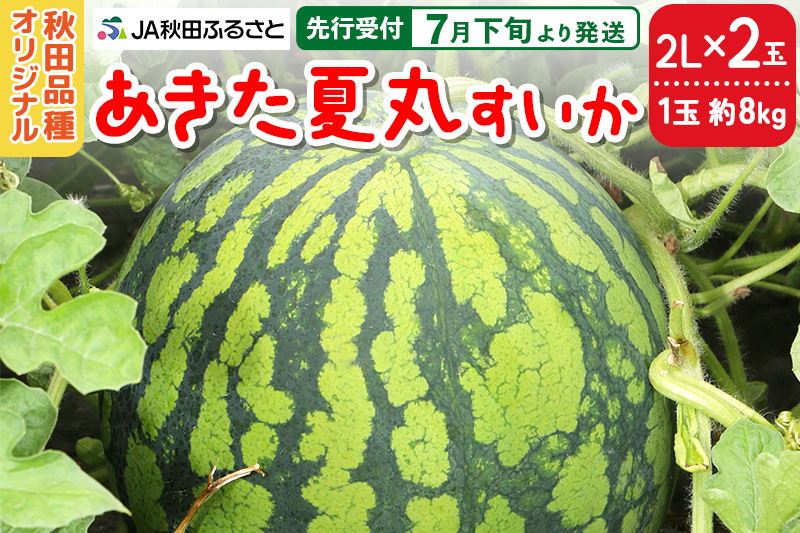 
            【先行受付】7月下旬より発送 秋田県横手市産 あきた夏丸すいか 2Lサイズ×2玉（1玉約8kg）
          
