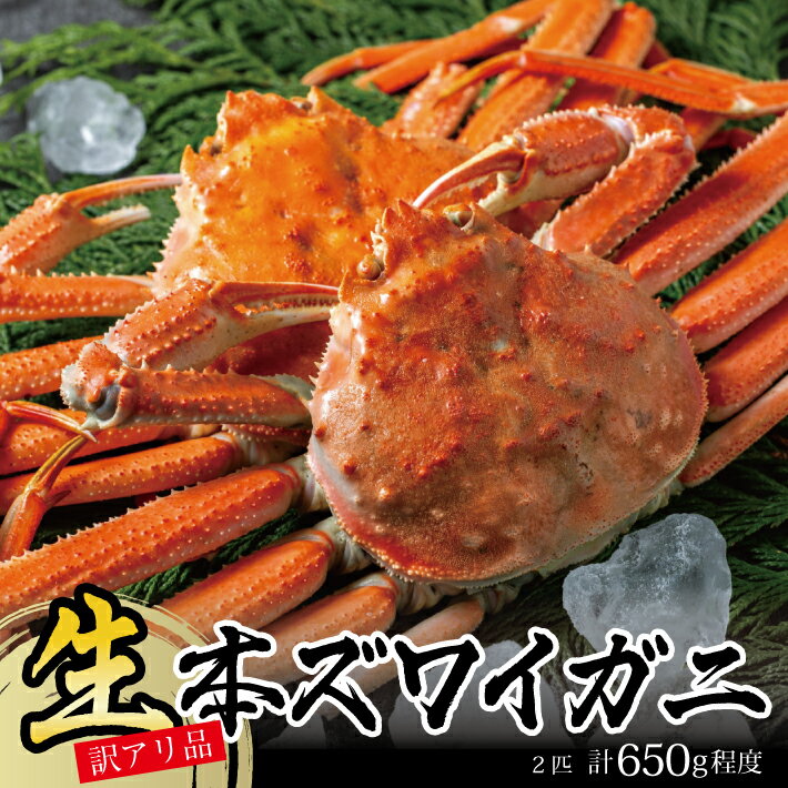 【ふるさと納税】訳あり 春の生・本ズワイガニ 2匹 計650g程度 1～2本足取れ 酒田沖 2026年1月中旬～3月下旬頃お届け 冷蔵便 ※着日指定・離島発送不可（沖縄県を含む） 東北 山形県 庄内地方 飛島 日本海 カニ 蟹 かに 海産物 海鮮 まるごと 刺身 ボイル 焼き 期間限定