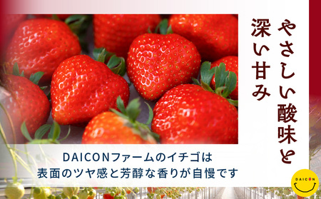 【先行予約】DAICONファーム さぬきひめJEWEL BOX（さぬきひめ苺（特選大粒）2箱 約800g） | いちご 苺 果物 果実 果汁 青果物 高級 大粒いちご 特選大粒 ご褒美 贈答 贈り物 