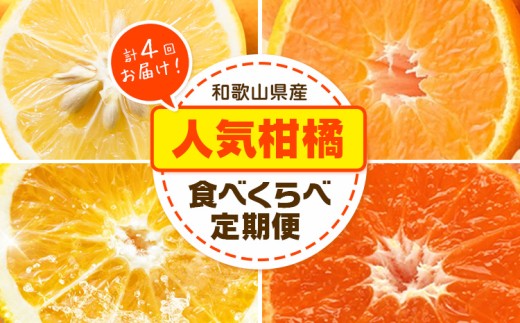 人気柑橘食べくらべ定期便 全4回 計20kg どの坂果樹園《2027年1月上旬-5月上旬頃出荷》 和歌山県 日高川町 みかん 柑橘 不知火 送料無料 ゆら早生みかん 早生みかん 不知火 オレンジ
