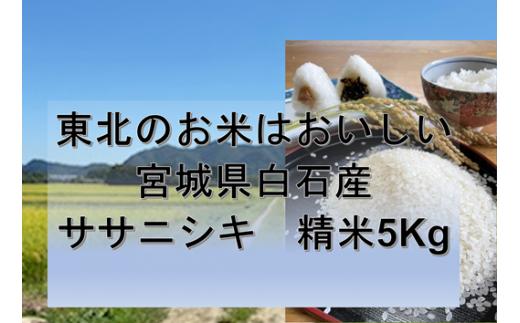 『令和6年産』 宮城県白石産 ササニシキ精米 5kg 5キロ ５キロ ５ｋｇ お米 米 ササニシキ 白米 精米 宮城米 ふるさと納税 宮城県 白石市 白石【1215501】