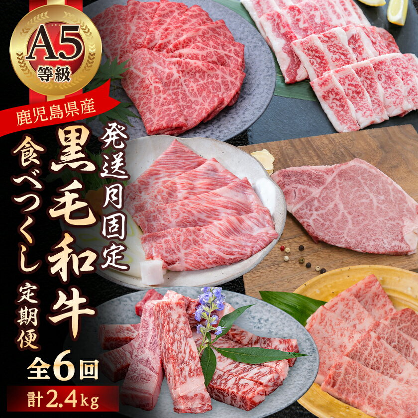 【ふるさと納税】【発送月固定定期便】黒毛和牛食べつくし定期便(2.4kg)(枕崎市) HH5-0002全6回【配送不可地域：離島】【4072152】