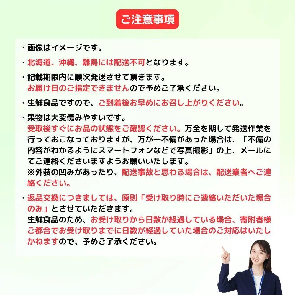 ＜定期便全3回＞シャインマスカット晴王1房800g 2回とぼっけぇピオーネ1房800g 1回の計3回コース [040-a013]