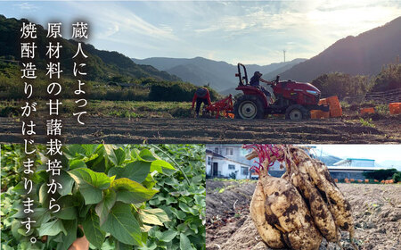 【上五島産の芋で作る本格芋焼酎】五島灘 黒麹 1800ml×1本  酒 お酒 焼酎 芋焼酎 芋 いも 麹 五島灘【五島灘酒造】[RAW008]