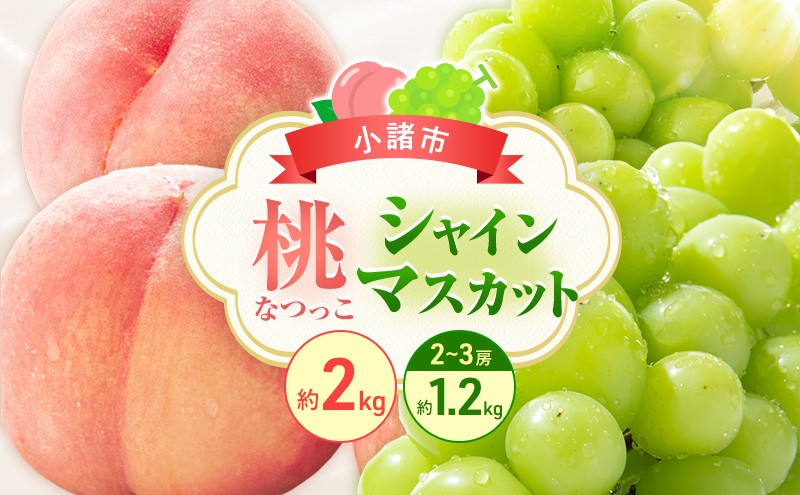 
                  フルーツ定期便　浅間水蜜桃プレミアム もも なつっこ 秀品 約2kg 5～9玉とシャインマスカット２～３房1.2kg[№5915-1873]
                