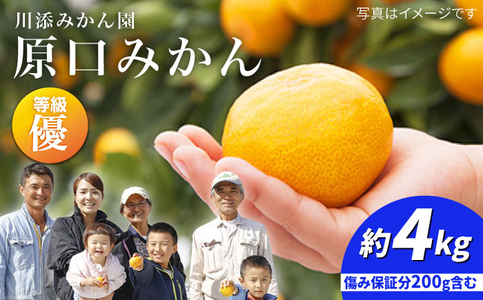 【11下旬より配送開始☆優品】原口みかん 約4kg（傷み保証分200g含む）＜川添みかん園＞ [CCT001] みかん