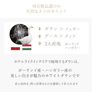 800FP本掛け　シングル（ポーランド産ホワイトマザーグースダウン使用）