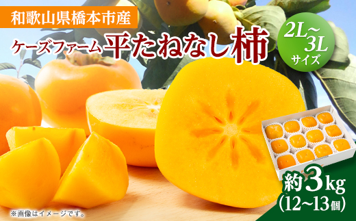 
            ケーズファーム　平たねなし柿　12～13個入　2L～3Lサイズ【1147921】
          