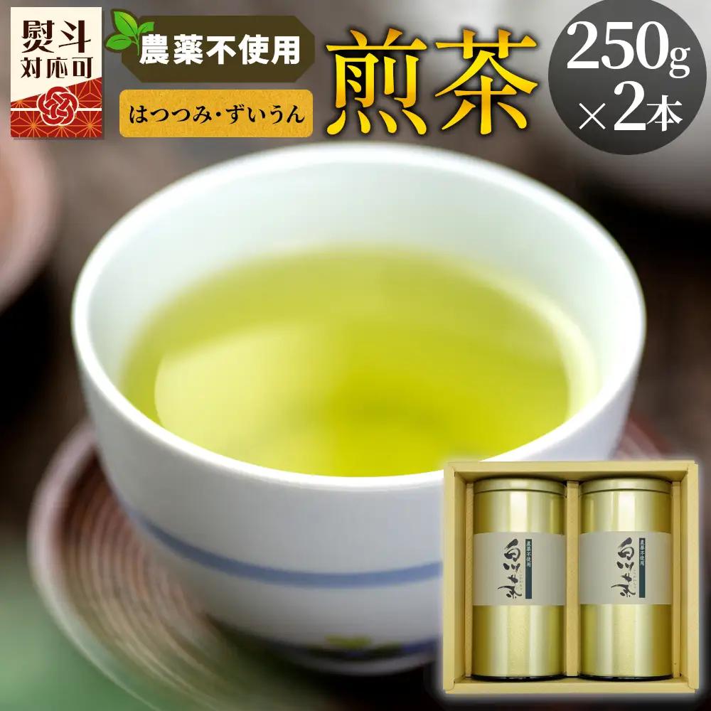 農薬不使用！煎茶 ギフト NO.1 （はつつみ250g＋ずいうん250g 計500g） 常磐園 日本茶 緑茶 茶葉 岐阜県 東白川村 お取り寄せ 贈答用 プレゼント 母の日