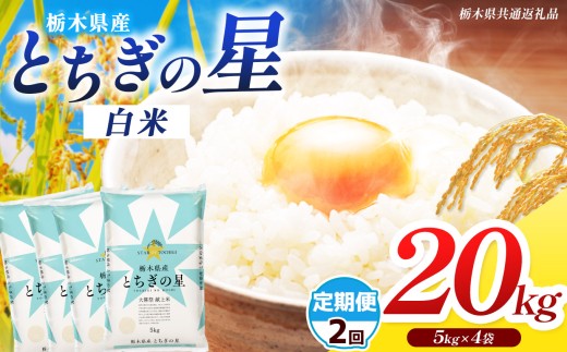 【栃木県共通返礼品】【先行予約】【令和8年度産】【定期2回】 訳あり 栃木県産 とちぎの星 20kg |ふるさと 納税 とちぎの星 お米 精米 白米 玄米 大粒 共通返礼品 送料無料 那珂川町 栃木県