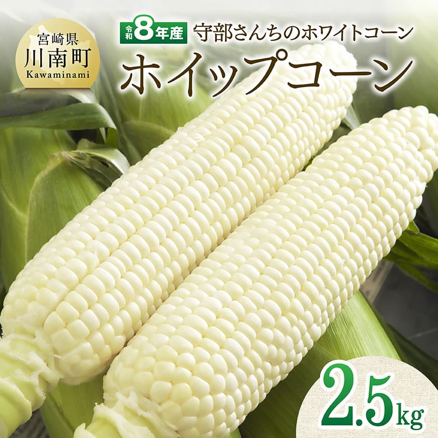 【令和8年発送】宮崎県産とうもろこし　守部さんちのホワイトコーン「ホイップコーン」2.5kg とうもろこし ホワイトコーン トウモロコシ ホイップコーン 令和8年発送 先行予約 数量限定 期間限定
