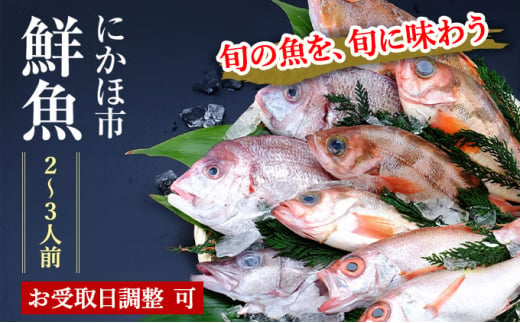 
下処理済 鮮魚 2~3人前 届けばすぐ食べられる鮮魚セット 詰め合わせ(お魚ボックス パック)
