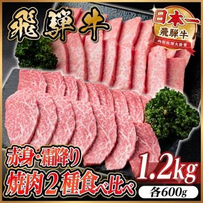 
                  飛騨牛　赤身・霜降り焼肉2種食べ比べセット(ヒレ・三角バラカルビ)計1.2kg(各600g)タレ付き【1746241】
                