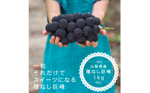 ＜2025年先行受付＞巨峰ぶどう(種なし) 　2房　1kg 以上　産地直送　山梨県山梨市牧丘産【1535963】