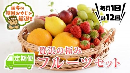 【定期便】贅沢の極みフルーツセット 【毎月1回1年コース(計12回)】田舎の頑固おやじが厳選！ 茨城県 県産 つくばみらい市 人気 厳選 定期便 定期 果物 くだもの 旬 旬の果物 旬のフルーツ 上級品 極上 贅沢 極み フルーツ フルーツセット ギフト プレゼント 贈り物 お歳暮 御歳暮 お中元 御中元 冷蔵