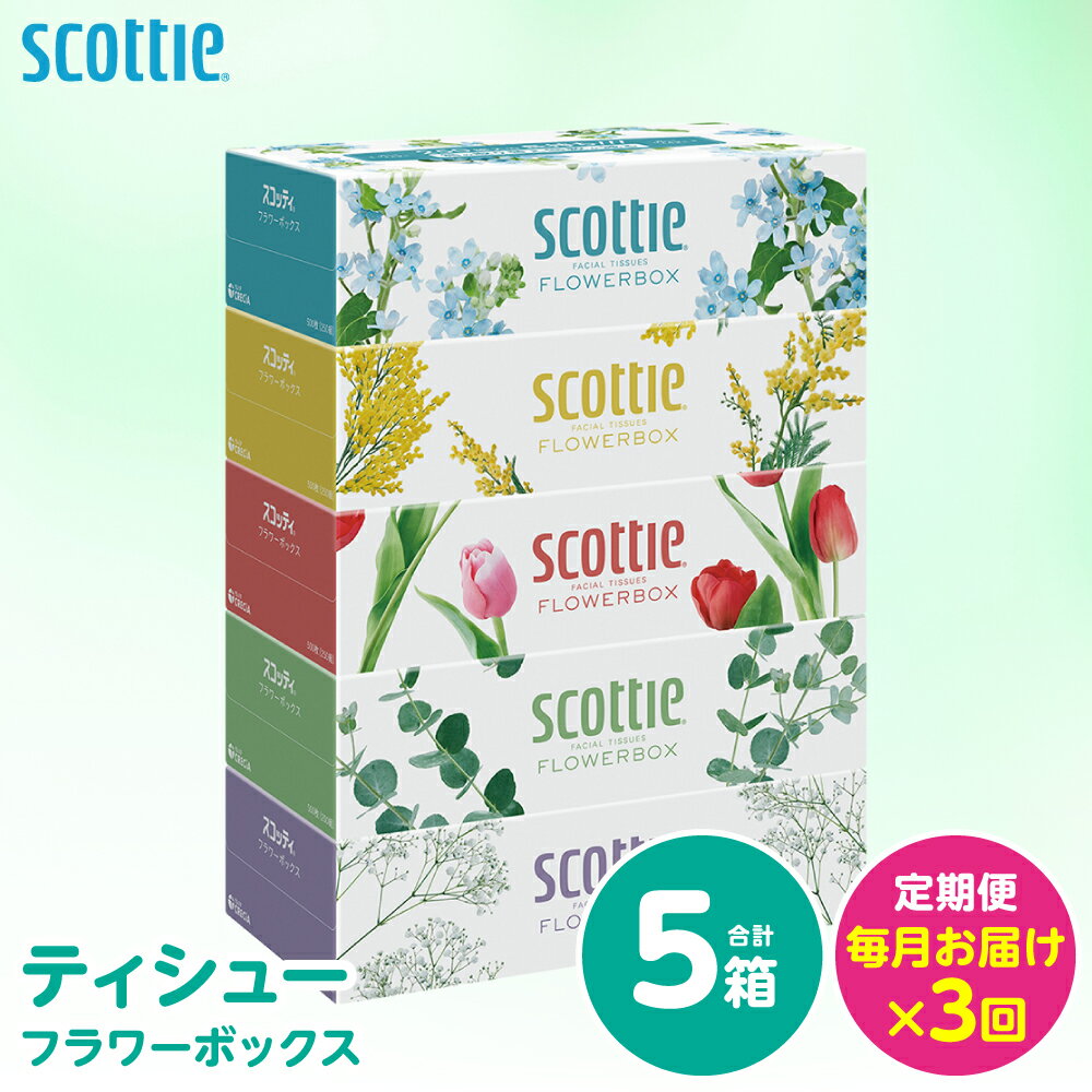 【ふるさと納税】【定期便3回】【毎月お届け】【スコッティ】 ティシュー フラワーボックス 250組 5箱 計15箱 ティッシュ 日用品 生活必需品 消耗品 紙 備蓄 防災備蓄 ストック 新生活 防災 生活用品 日用消耗品 箱ティッシュ 熊本県 八代市 送料無料