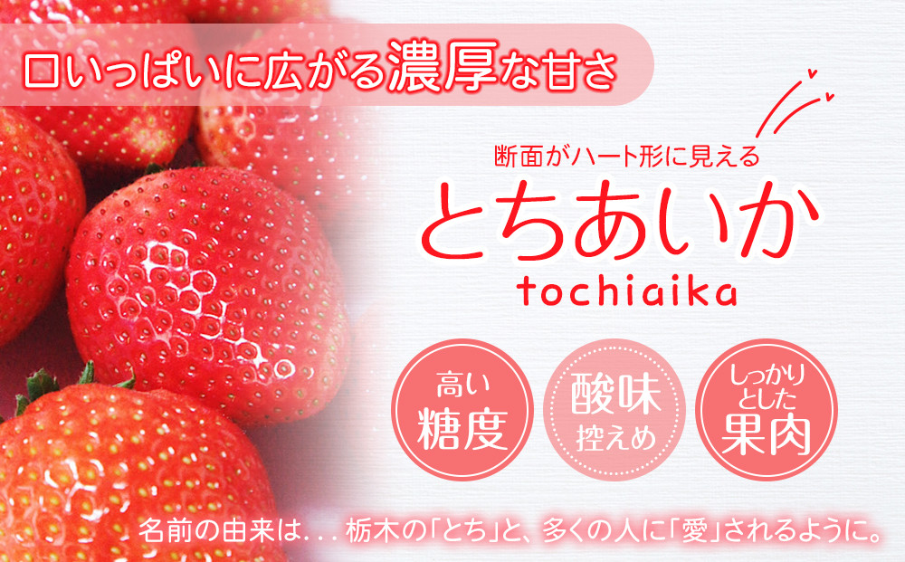 【先行予約】大粒とちあいか2パック＋大粒とちおとめ2パック=（合計）4パック入り【2026年1月上旬より順次発送】 | 生産量 日本一 果物 フルーツ 苺 イチゴ 農家直送 栃木県 日光市
