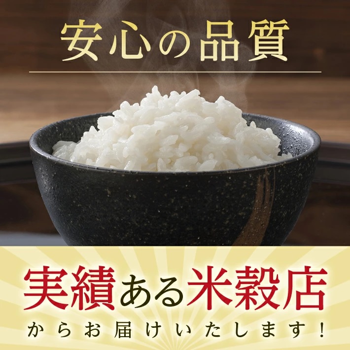 無洗米 こつぶ姫 5kg×2袋 計10kg　8月中旬