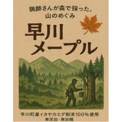 ふるさと納税 早川町 【早川ジビエ】猟師が採ったメープルシロップ　100ml×1本 |  | 01