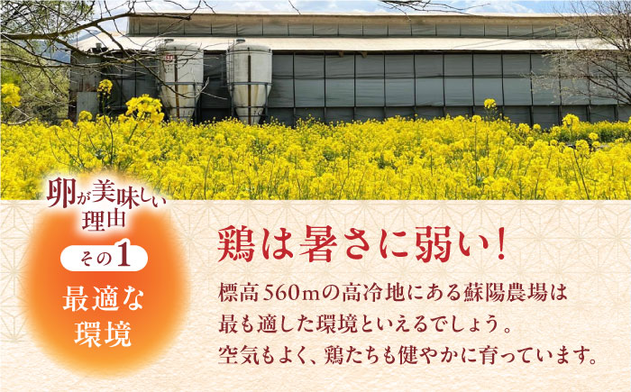 【全3回定期便】熊本県産 蘇陽の月 60個入り ( 10個入り × 6パック ) 山都町 たまご 卵【蘇陽農場】 [YBE022]