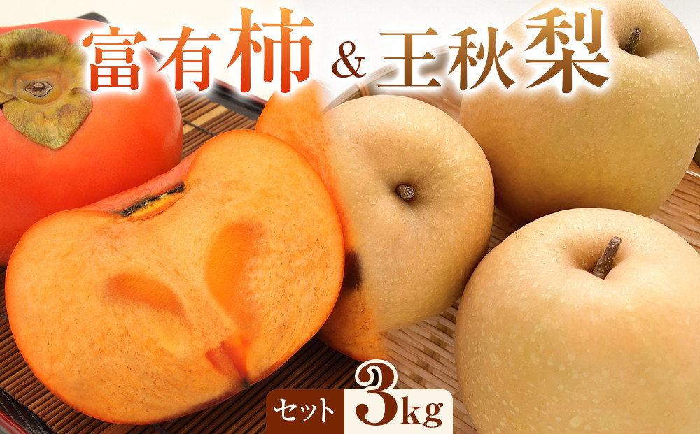 338.【先行予約】富有柿と王秋梨の３kgセット　※2025年11月上旬～12月上旬頃に順次発送予定 313726_AN088