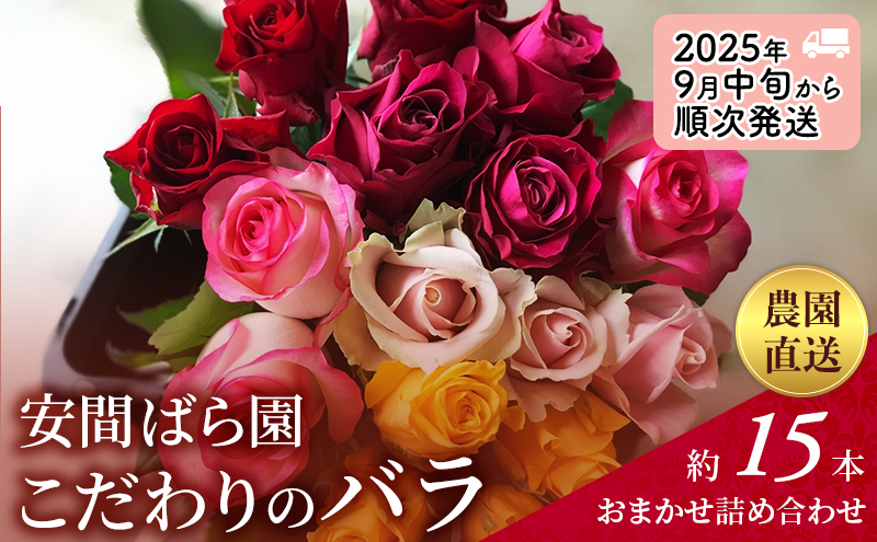 【2025年9月中旬から順次発送】安間ばら園 こだわりの バラ おまかせ詰め合わせ約15本入 クール便 花 ギフト 誕生日 記念日 花束 プレゼント バラ フラワーギフト