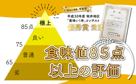 【先行予約】【令和6年産 新米】《定期便6回》ミルキークイーン 精米 5kg×2袋 10kg（計60kg）＜食味値85点以上！低農薬栽培＞ ／ 高品質 鮮度抜群 福井県あわら市産 白米 お米 米《出荷